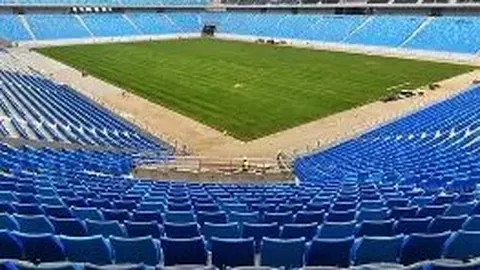 布鲁尔回归国王，助力球队力争季后赛席位