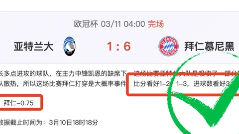 罗斯展望未来：基莱斯助力，下一战国安力争胜利